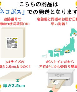 Alternative view of ACTIVEM 棒球 舒适运动 贴身内衣 短袖内衣