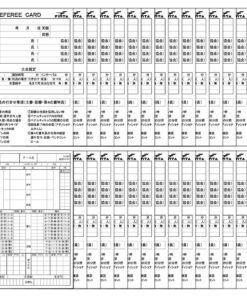 FINTA 芬塔 足球 五人制足球 裁判记录表 30张装 FT5988 裁判 裁判用品 裁判配件