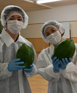 Alternative view of 积分10倍 100种营养成分 全能型 无添加 日本产 可可 GABA 氨基酸100★胶原蛋白 DHA 叶黄素