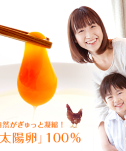 Alternative view of 50%OFF！！黑蒜蛋黄油 太阳蛋蛋黄油黑蒜 试用装 25粒装 约2周用量 首次购买限定 每人限购3袋 仅需1000日元 国产 蛋油 蛋黄油 蒜味蛋黄 方便 易饮 易于坚持