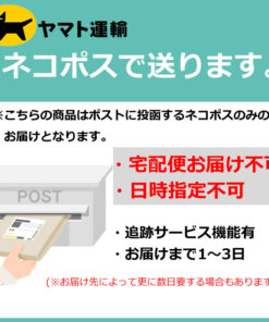 NISHI Sports 轻量竞速短裤 男士 马拉松 田径 短裤 跑步 竞速服装 2811A405 NISHI 2024 的另一种观点