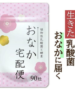 “肠道快递” 丁酸菌 植物性乳酸菌 双歧杆菌 益生菌 酵素 通便 保健品 90粒