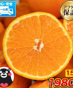 瑕疵品 装饰蜜柑 1.5kg 冷藏配送 购买2套以上即赠更多★与“Dekopon”同品种 熊本县产 不知火蜜柑 蜜柑 柑橘 水果 10kg以下 熊本风土 多店选购