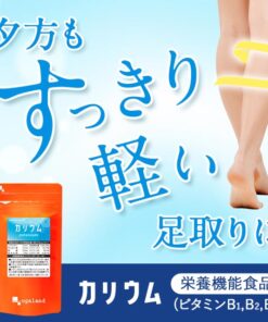 钾（约1个月用量）营养功能食品 保健品 玉米须 薏米 柠檬酸 维生素B1、B2、B6 葡萄籽提取物 美容 办公室工作 矿物质 钠 盐分 多酚 与“浮肿混合配方”搭配效果极佳 积分抵扣 免运费 积分消费 的另一种观点