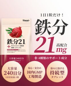 铁 21mg（240天份） 补铁剂 叶酸 缺铁 缓释型 片剂 日本制造 Vitanad+（维他纳德） 的另一种观点