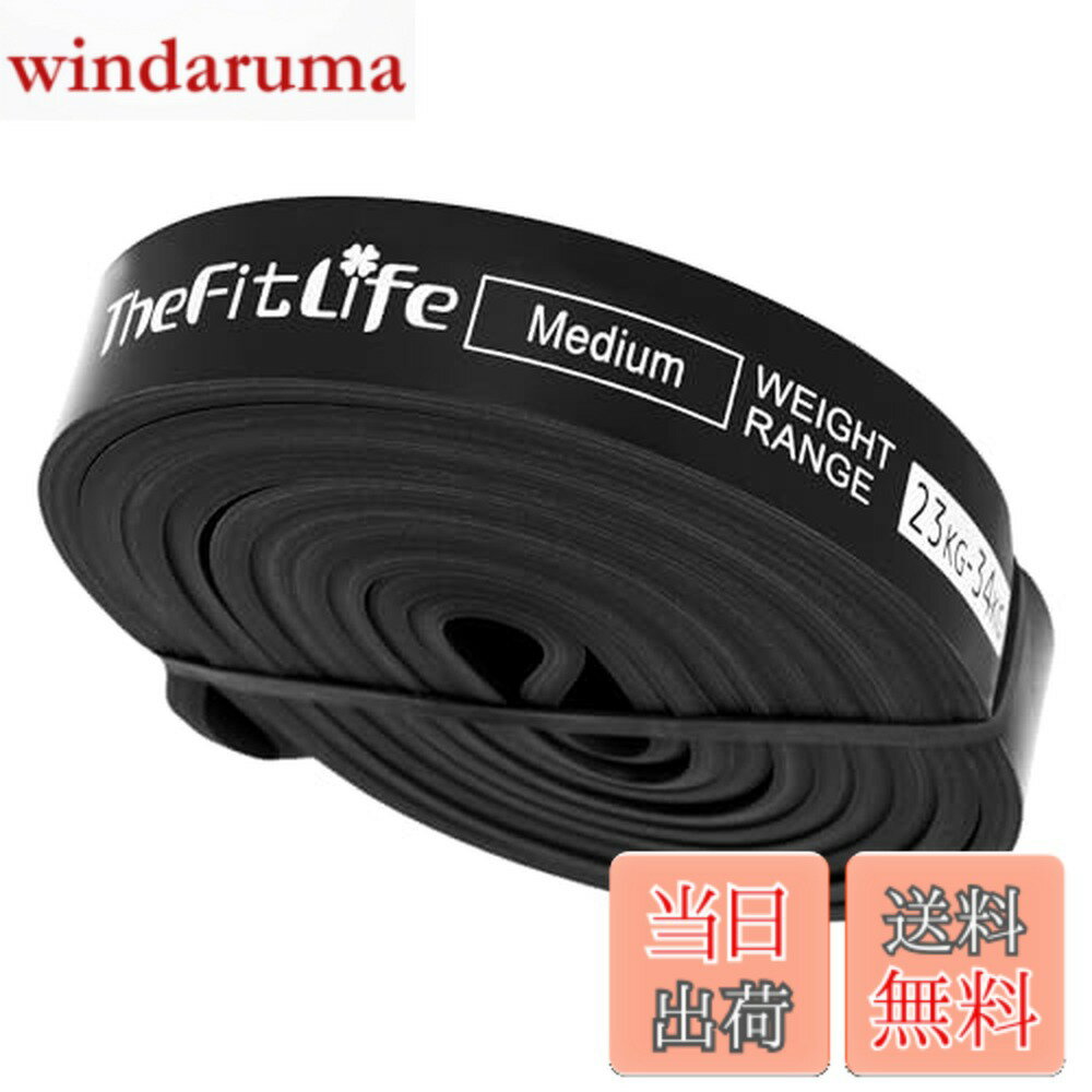 TheFitLife 弹力带 健身弹力带 引体向上弹力带