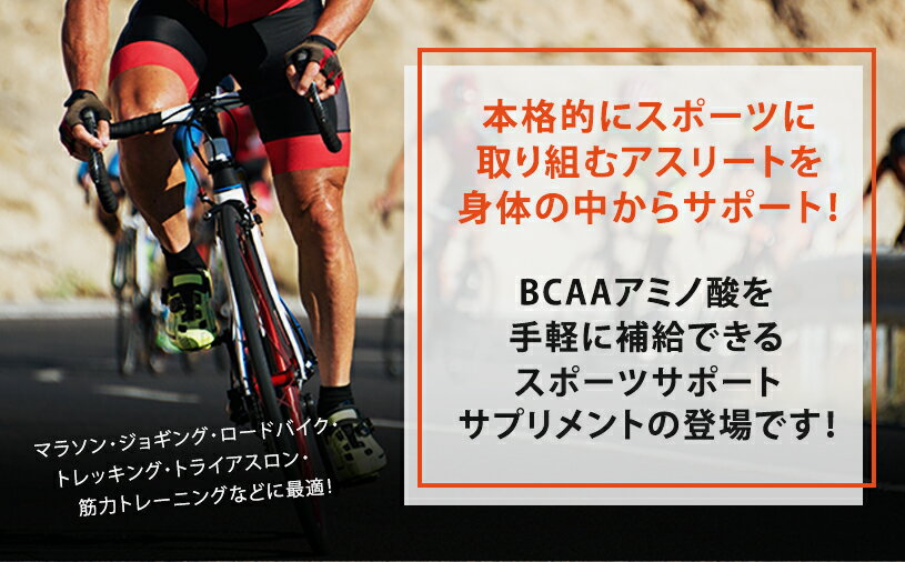 BCAA 2:1:1(日本制造) 500g 植物来源 支链氨基酸 无香精・无甜味剂 NICHIGA(ニチガ) 无味 - 图片 3