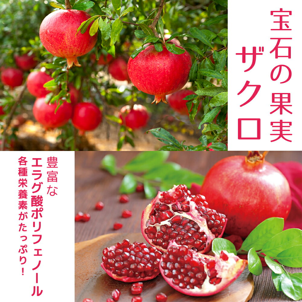 发酵石榴 石榴酵素饮品 6倍浓缩 超浓缩 100%石榴酵素原液 经1年熟成发酵 720ml 无添加 鞣花酸 多酚 丁酸菌 乳酸菌 石榴酵素 原液 日本产 52种发酵菌 乳酸菌 酵母菌 健康美容 超值装 - 图片 3