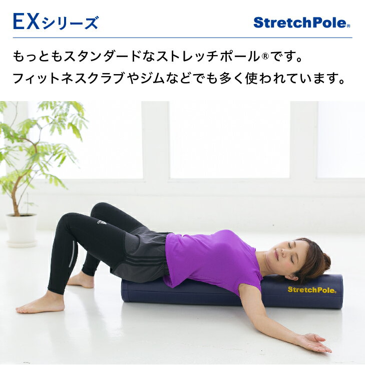 LPN 伸展杆EX(黄色)入门指南,附赠锻炼DVD,1年保修 - 图片 3