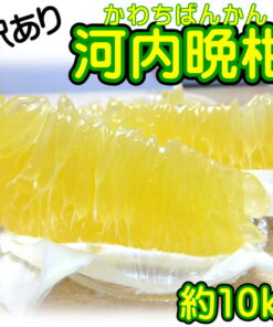 Alternative view of 瑕疵品 河内晚柑 约10公斤 + 补偿500克 爱媛县产（美生柑・宇和金）日本产葡萄柚