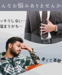 PALEO LABO｜Paleotics-帕莱奥蒂克斯- | 270粒 30天份 合生元 益生菌 益生元 果寡糖 寡糖 膳食纤维 乳酸菌 丁酸菌 营养补充剂 肠道健康 肠道菌群 帕莱奥男 铃木祐 的另一种观点