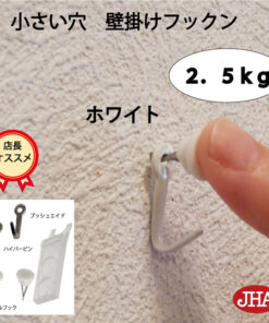 承重2.5kg JHA 壁挂挂钩 适合租房 低调隐蔽 承重强 适用于石膏板 安装美观(壁挂挂钩:白色)F-25K-W 图钉 墙面 小孔 无需打孔 挂针 时尚 挂件 悬挂挂钩 石膏板 镜子 挂镜 挂件 时钟 玄关 卫生间