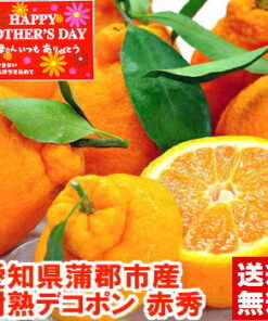 抱歉迟到了！母亲节礼物，重新发现真正的美味！！蒲郡产树熟德科蓬，北海道、冲绳地区需另付1,000日元