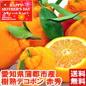 抱歉迟到了!母亲节礼物,重新发现真正的美味!!蒲郡产树熟德科蓬,北海道、冲绳地区需另付1,000日元