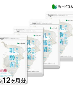 含孢子乳酸菌软胶囊（约12个月用量）ネコポ斯配送（不支持货到付款/指定收货时间）/营养补充剂/乳酸菌补充剂/D0818