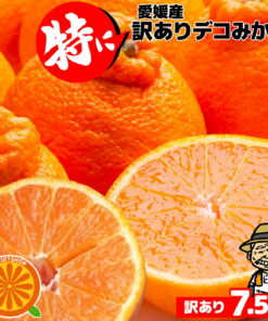 5个工作日内快速发货♪爱媛产 瑕疵特价德科蜜柑 7kg（+约0.5kg） 形状不规则、有瑕疵、有污渍 不知火・德科蜜柑规格外产品 爱媛县产 家庭用 水果 食品 蜜柑 整箱购买 网购美食 蜜柑 柑橘类 产地直送