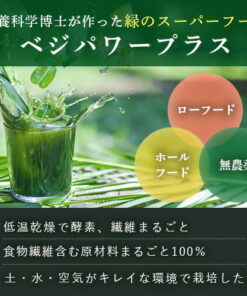 Alternative view of Veg Power Plus (60包装) | Veg Power 青汁 大麦嫩叶 乳酸菌 酵素 粉末 肠道保健 蔬菜摄入不足 全食 膳食纤维 小球藻 粉末 饮品 健康饮品 美容 孕妇 健康食品 无麸质 青汁 未经加热 双歧杆菌 易于饮用 镁