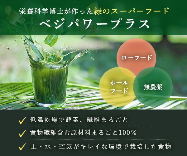 Veg Power Plus (60包装) | Veg Power 青汁 大麦嫩叶 乳酸菌 酵素 粉末 肠道保健 蔬菜摄入不足 全食 膳食纤维 小球藻 粉末 饮品 健康饮品 美容 孕妇 健康食品 无麸质 青汁 未经加热 双歧杆菌 易于饮用 镁 - 图片 2
