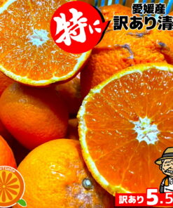 特价 爱媛产 清见坦戈尔（清见橙）5公斤（+约0.5公斤） 规格不一 爱媛县产 清见 家庭用 水果 时令水果 鲜果 食品 蜜柑 网购美食 新冠疫情 居家时光支持 柑橘类 零食 春季美味 产地直送